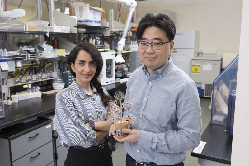 People - Bioelectronics & Microsystems Laboratory | Binghamton University